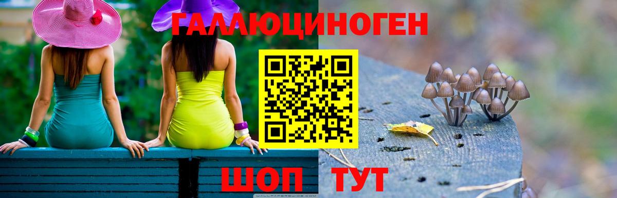 Белая Калитва  Галлюциногенные грибы Cubensis  закладки  Вход с VPN 